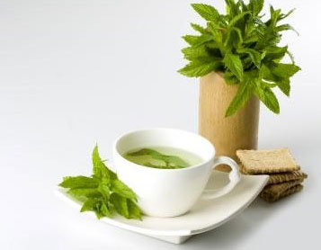 BENEFÍCIOS DO CHÁ VERDE