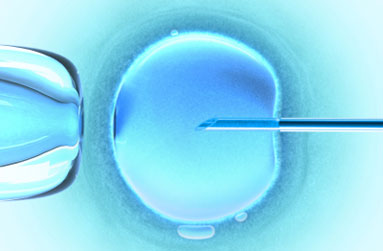 TÉCNICAS DE FERTILIZAÇÃO