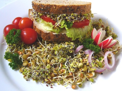 CARACTERÍSTICAS DA DIETA METABÓLICA